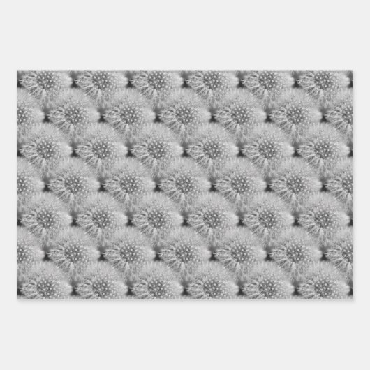 Fluffy White Dandelions Nattern Muster Geschenkpapier Set (Vorderseite)