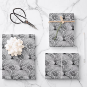 Fluffy White Dandelions Nattern Muster Geschenkpapier Set