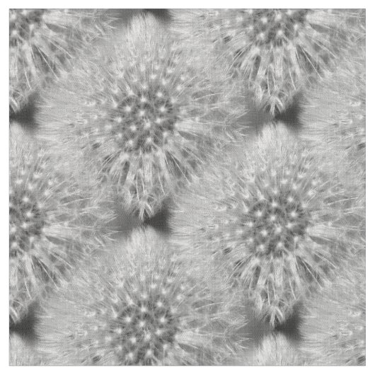 Fluffy White Dandelions Nattern Muster Stoff (Nahaufnahme)