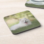 Fluffy White Keeshond Puppy Getränkeuntersetzer (Linke Seite)