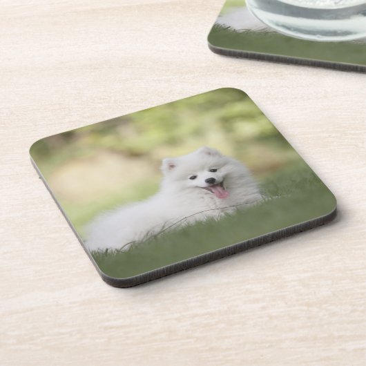 Fluffy White Keeshond Puppy Getränkeuntersetzer (Linke Seite)