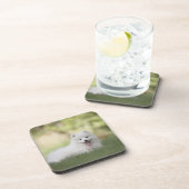 Fluffy White Keeshond Puppy Getränkeuntersetzer (Rechte Seite)