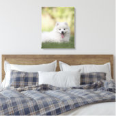 Fluffy White Keeshond Puppy Leinwanddruck (Insitu (Schlafzimmer))