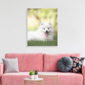 Fluffy White Keeshond Puppy Leinwanddruck (Insitu (Wohnzimmer))