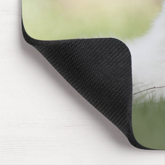 Fluffy White Keeshond Puppy Mousepad (Ecke)