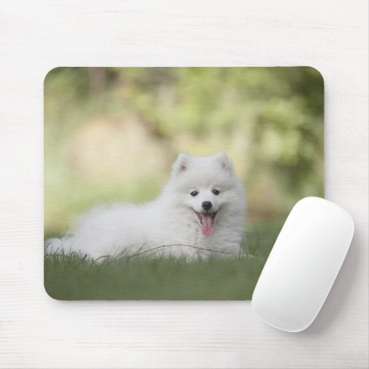 Fluffy White Keeshond Puppy Mousepad (Mit Mouse)