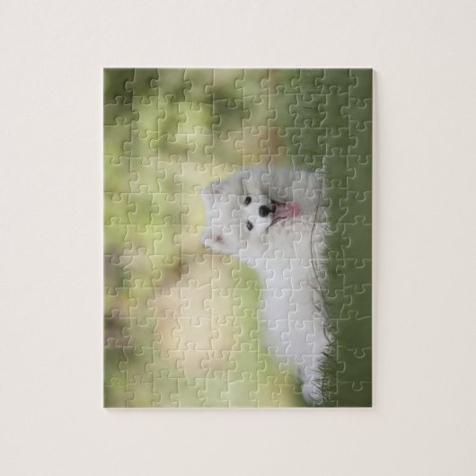 Fluffy White Keeshond Puppy Puzzle (Vertikal)