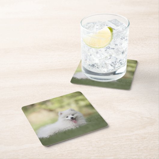 Fluffy White Keeshond Puppy Rechteckiger Pappuntersetzer (Vor Ort)