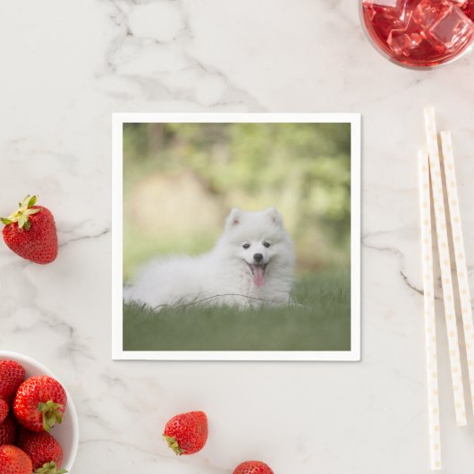 Fluffy White Keeshond Puppy Serviette (Beispiel)