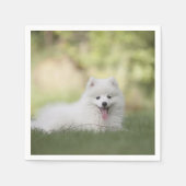 Fluffy White Keeshond Puppy Serviette (Vorderseite)