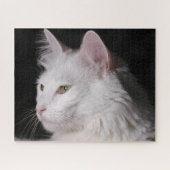 Fluffy White Maine Coon Cat Puzzle (Horizontal)