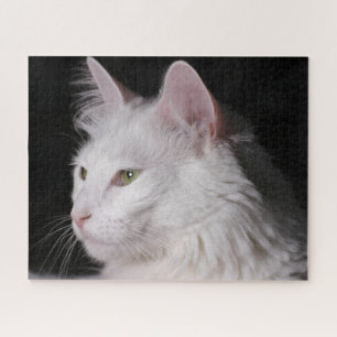 Fluffy White Maine Coon Cat Puzzle