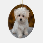 Fluffy White Maltese Puppy Dog Keramik Ornament (Rechts)