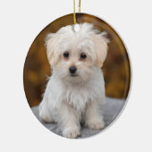 Fluffy White Maltese Puppy Dog Keramik Ornament (Links)