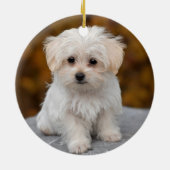 Fluffy White Maltese Puppy Dog Keramik Ornament (Hinten)