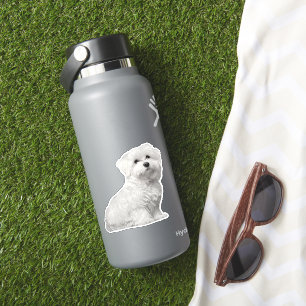 Fluffy White Maltese Welppy Sitzen Aufkleber