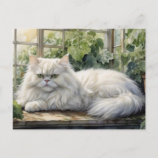 Fluffy White Persian Cat in a Garden Postkarte (Vorderseite)