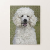 Fluffy White Poodle Puppy Dog Puzzle (Vertikal)