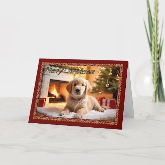 Fluffy White Puppy Christmas Card Karte (Vorderseite)