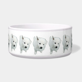 Fluffy White Puppy Foto Napf