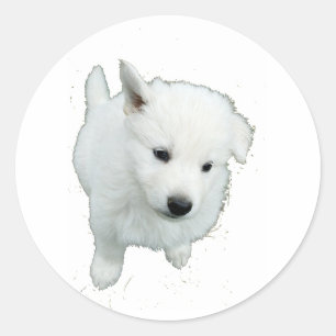 Fluffy White Puppy Foto Runder Aufkleber