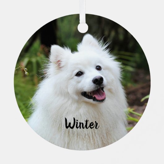 Fluffy White Spitz Welpenhund Ornament Aus Metall (Rückseite)