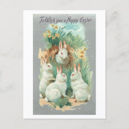 Fluffy White Vintage Easter Bunnies Feiertagspostkarte