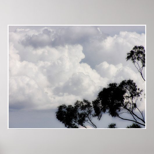 Fluffy Whites Poster (Vorne)