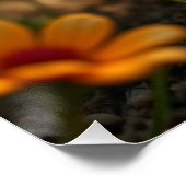 Fluffy Yellow Chick Art Poster (Ecke)