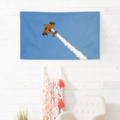 Flug 1 BNRCA Banner (Insitu)