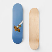 Flug 1 sdcnm skateboard (Vorderseite)