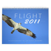 Flug 2011 kalender (Titelbild)