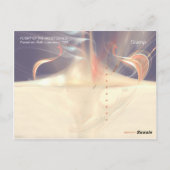 FLUG DER FROST-DEVILS POSTKARTE (Rückseite)