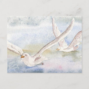 "Flug der Gulls" Postkarte