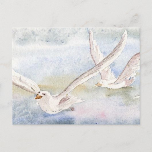 "Flug der Gulls" Postkarte (Vorderseite)