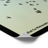 Flug der Tauben Poster (Ecke)