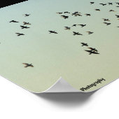 Flug der Tauben Poster (Ecke)