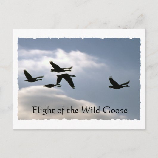 Flug der Wilden Gans - gerissene Kanten nach Karte (Vorderseite)
