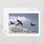 Flug der Wilden Gans - gerissene Kanten nach Karte (Vorne/Hinten)