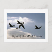 Flug der Wilden Gans - gerissene Kanten nach Karte