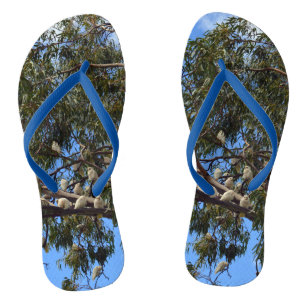 "Flug der Wildtiere: Weißaustralische Kakados Badesandalen