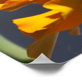 Flug des Bumblecamels Poster (Ecke)