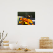 Flug des Bumblecamels Poster (Küche)