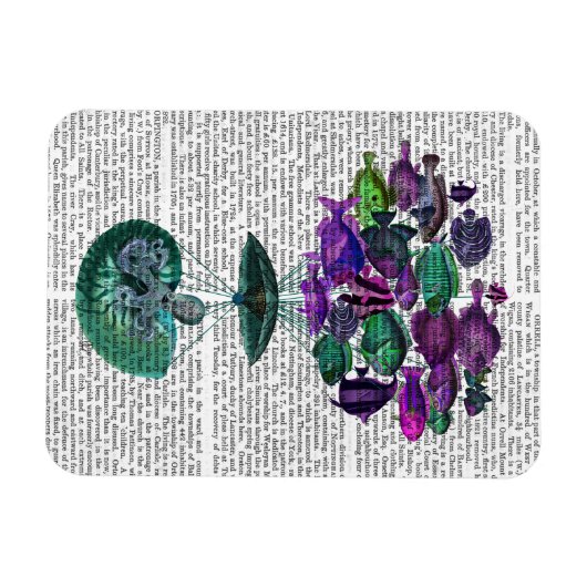 Flug des Heißluftballons Magnet (Horizontal)