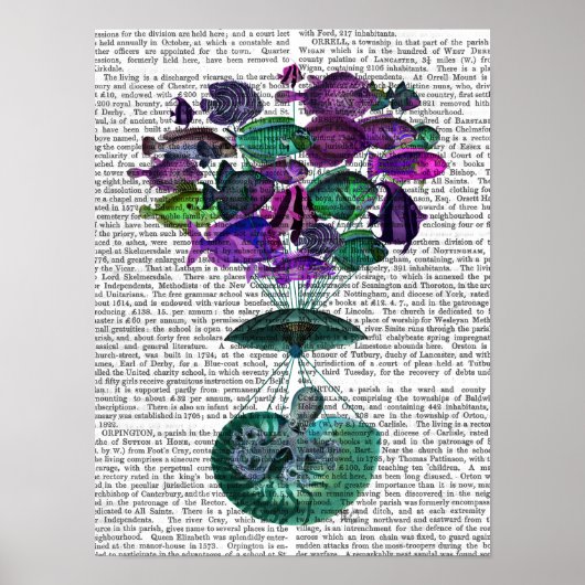 Flug des Heißluftballons Poster (Vorne)