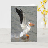 Flug des Pelikans Karte (Gelbe Blume)
