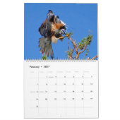 Flug des roten Falken Kalender (Feb 2027)