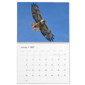 Flug des roten Falken Kalender (Jan 2027)