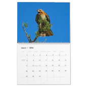 Flug des roten Falken Kalender (Mär 2026)