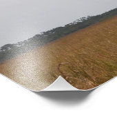 Flug eines Holzstorch-Fotos - Print Wide Fotodruck (Ecke)